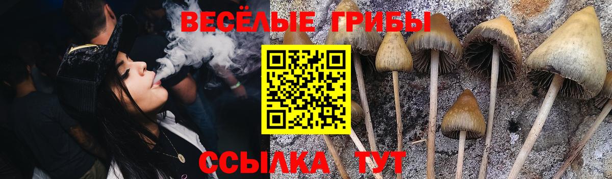 Псилоцибиновые грибы мухоморы  Вход с VPN  Псилоцибиновые грибы ЛСД  Белорецк 