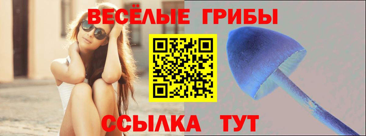 Галлюциногенные грибы мицелий Белорецк